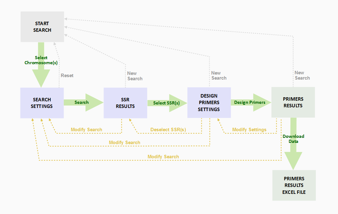 Flow of user operations and interactions with Cynara cardunculus MicroSatellite DataBase